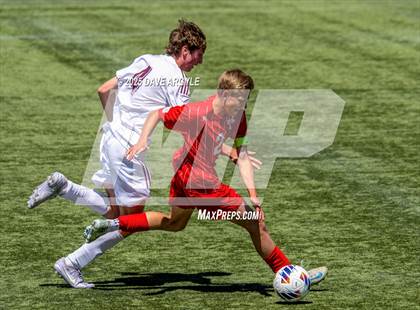 Thumbnail 3 in Manti vs. Morgan (UHSAA 3A Semifinal) photogallery.