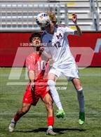 Photo from the gallery "Manti vs. Morgan (UHSAA 3A Semifinal)"