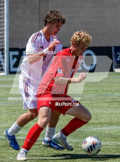 null - Photo 21