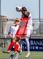 Photo from the gallery "Manti vs. Morgan (UHSAA 3A Semifinal)"