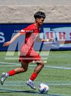 Photo from the gallery "Manti vs. Morgan (UHSAA 3A Semifinal)"