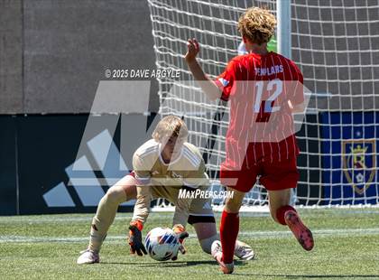 Thumbnail 2 in Manti vs. Morgan (UHSAA 3A Semifinal) photogallery.