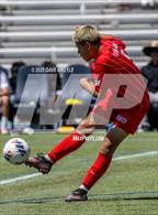 Photo from the gallery "Manti vs. Morgan (UHSAA 3A Semifinal)"