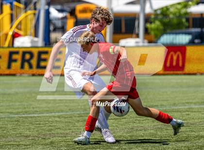 Thumbnail 1 in Manti vs. Morgan (UHSAA 3A Semifinal) photogallery.