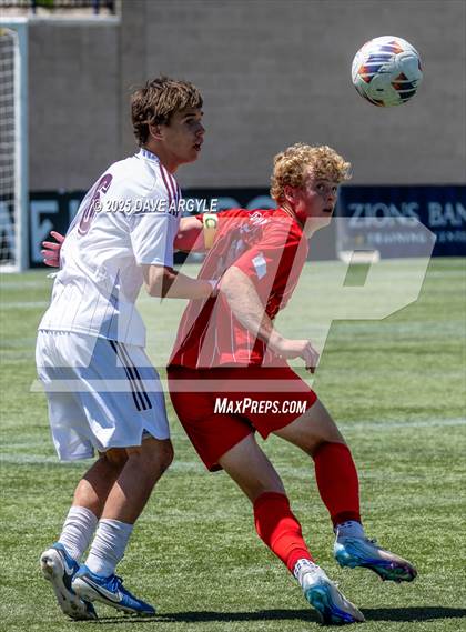 Thumbnail 2 in Manti vs. Morgan (UHSAA 3A Semifinal) photogallery.