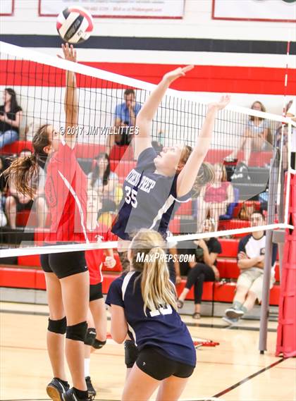 Thumbnail 3 in Anthem Prep @ Chandler Prep photogallery.