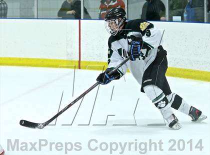 Thumbnail 3 in Lowell @ Jenison photogallery.
