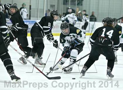 Thumbnail 3 in Lowell @ Jenison photogallery.