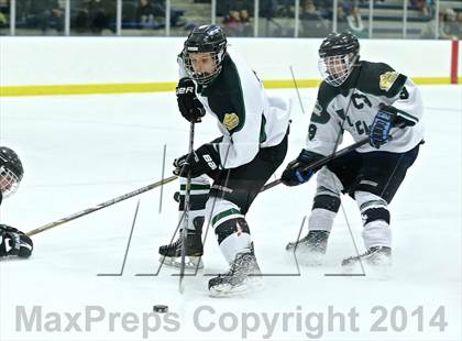 Thumbnail 3 in Lowell @ Jenison photogallery.