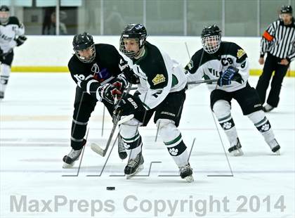 Thumbnail 2 in Lowell @ Jenison photogallery.