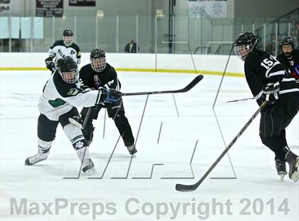 Thumbnail 2 in Lowell @ Jenison photogallery.