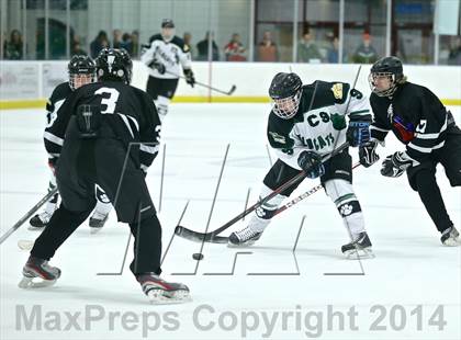 Thumbnail 3 in Lowell @ Jenison photogallery.