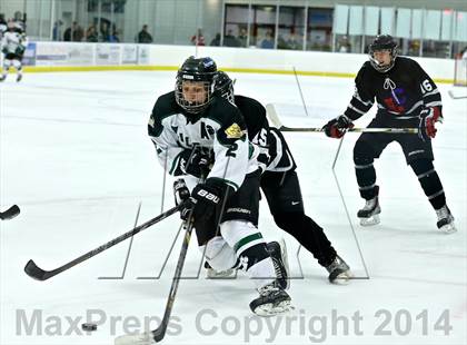 Thumbnail 3 in Lowell @ Jenison photogallery.