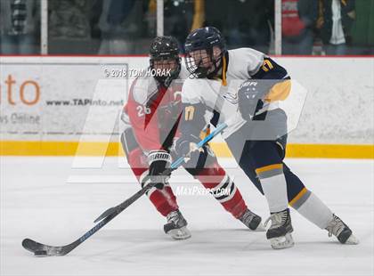 Thumbnail 2 in Vernon vs. High Point/Wallkill Valley photogallery.
