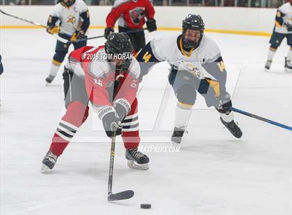 Thumbnail 1 in Vernon vs. High Point/Wallkill Valley photogallery.