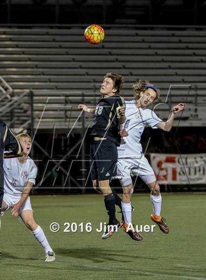 Thumbnail 1 in Kellam @ Maury photogallery.