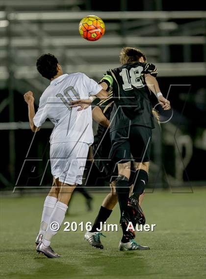 Thumbnail 3 in Kellam @ Maury photogallery.