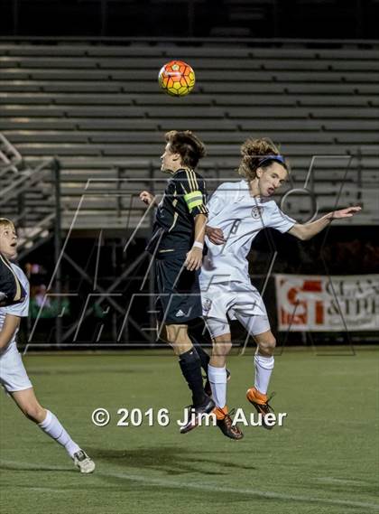 Thumbnail 2 in Kellam @ Maury photogallery.