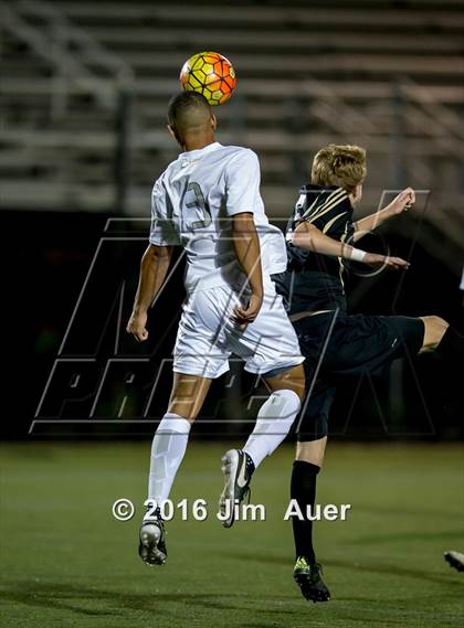 Thumbnail 1 in Kellam @ Maury photogallery.