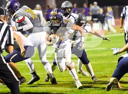 Thumbnail 3 in Sunrise Mountain vs. Cactus Shadows (AIA 4A Quarterfinal) photogallery.