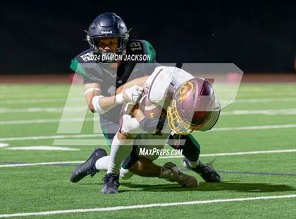 Thumbnail 3 in Pahrump Valley @ Virgin Valley photogallery.