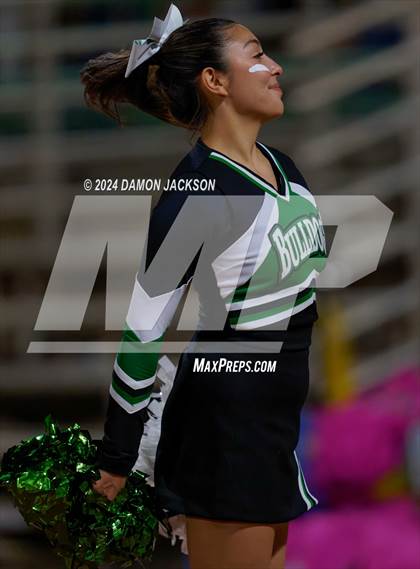 Thumbnail 3 in Pahrump Valley @ Virgin Valley photogallery.