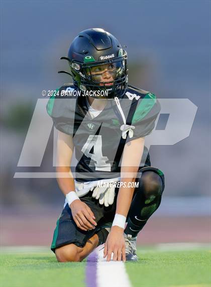 Thumbnail 2 in Pahrump Valley @ Virgin Valley photogallery.
