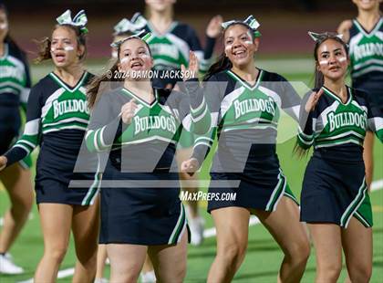 Thumbnail 3 in Pahrump Valley @ Virgin Valley photogallery.