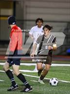 Photo from the gallery "Archbishop Mitty @ Saint Francis"