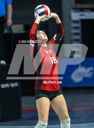 null - Photo 31