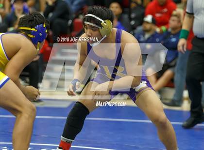 Thumbnail 3 in CIF Central Section Boys Wrestling Masters (Consolation Rounds 3/4) photogallery.