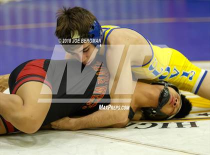 Thumbnail 3 in CIF Central Section Boys Wrestling Masters (Consolation Rounds 3/4) photogallery.
