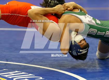 Thumbnail 2 in CIF Central Section Boys Wrestling Masters (Consolation Rounds 3/4) photogallery.