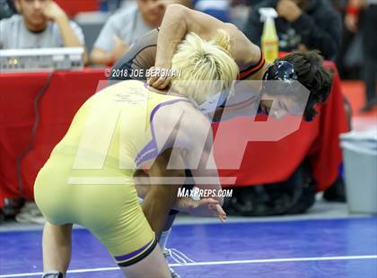Thumbnail 2 in CIF Central Section Boys Wrestling Masters (Consolation Rounds 3/4) photogallery.