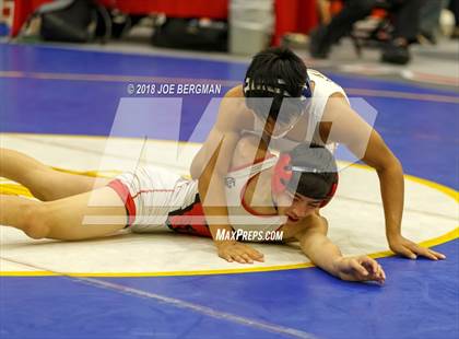 Thumbnail 3 in CIF Central Section Boys Wrestling Masters (Consolation Rounds 3/4) photogallery.