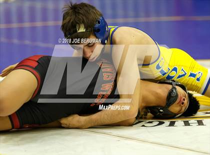 Thumbnail 1 in CIF Central Section Boys Wrestling Masters (Consolation Rounds 3/4) photogallery.