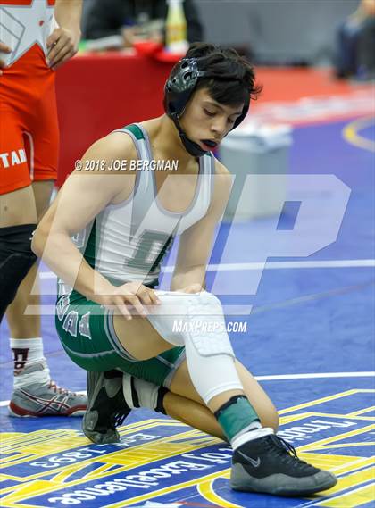 Thumbnail 3 in CIF Central Section Boys Wrestling Masters (Consolation Rounds 3/4) photogallery.