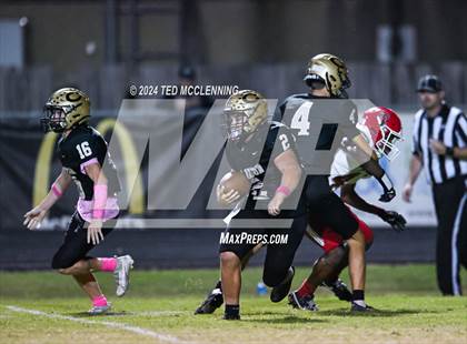 Thumbnail 1 in Dardanelle @ Clinton photogallery.