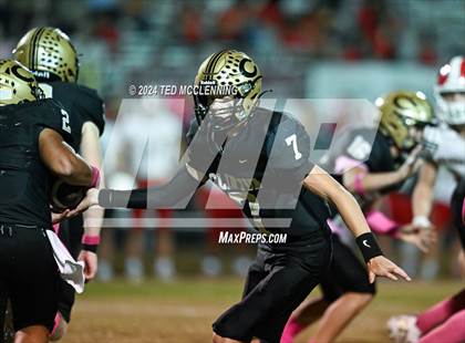 Thumbnail 1 in Dardanelle @ Clinton photogallery.