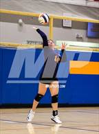 Photo from the gallery "Sheridan @ International"