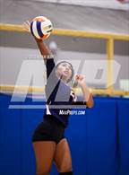 Photo from the gallery "Sheridan @ International"