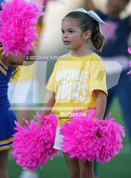Thumbnail 2 in Wills Point @ Sunnyvale photogallery.