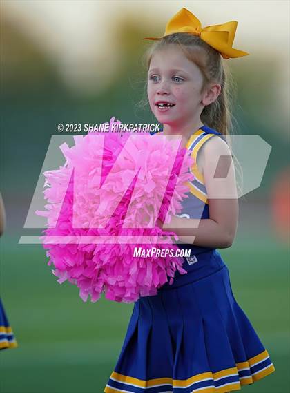 Thumbnail 1 in Wills Point @ Sunnyvale photogallery.