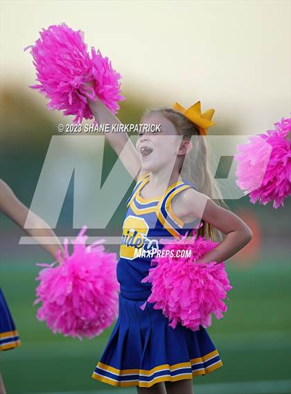 Thumbnail 3 in Wills Point @ Sunnyvale photogallery.