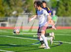 Photo from the gallery "Windsor @ Fort Collins"