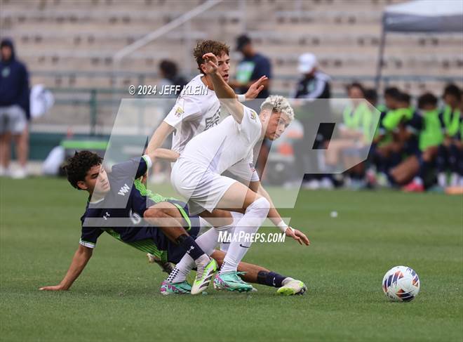 null - Photo 01