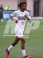 Photo from the gallery "Boca Raton @ Windermere (FHSAA 7A Semifinal)"