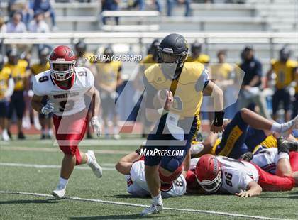 Thumbnail 3 in Mount Sinai @ Shoreham-Wading River (Conference IV Championship) photogallery.