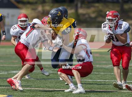 Thumbnail 3 in Mount Sinai @ Shoreham-Wading River (Conference IV Championship) photogallery.