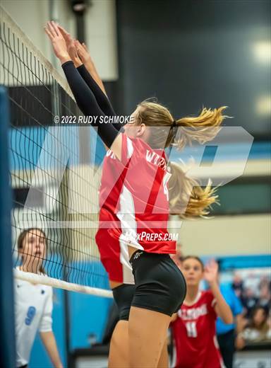 null - Photo 11